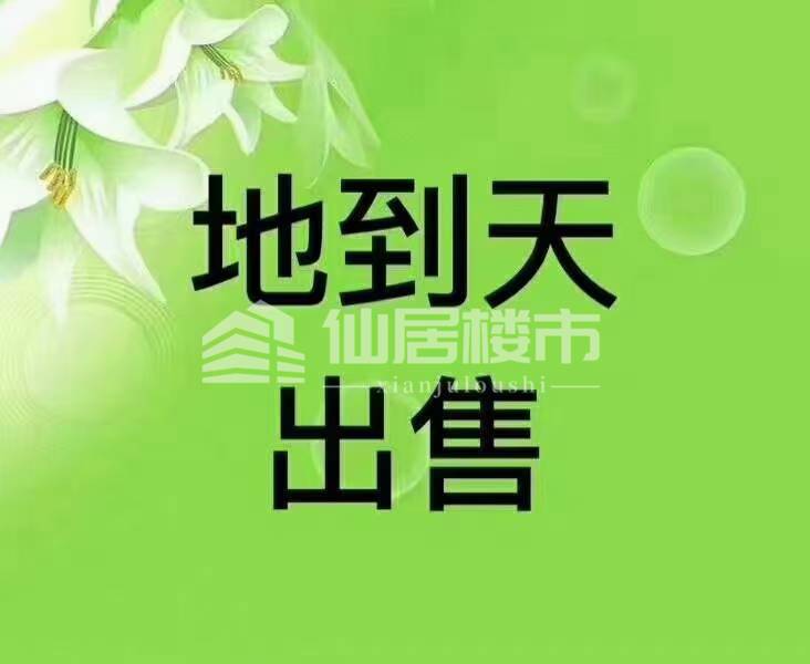 外滩附近2间4层半地到天出售前后路宽368万，