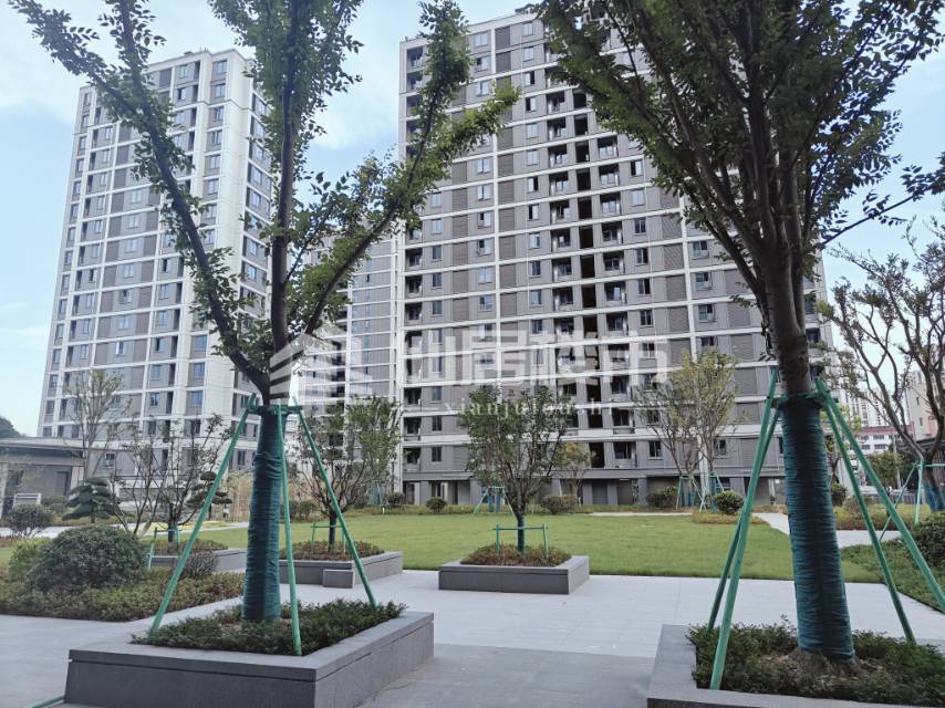 出售烟雨苑120平，号次靠前，楼层自选，价格实惠